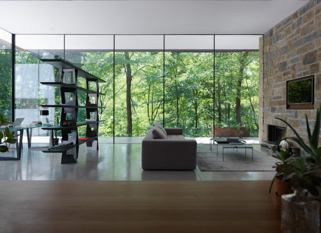 homes house in the woods 01