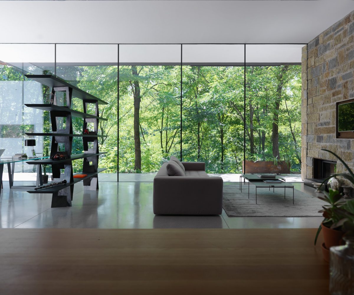 homes house in the woods 01